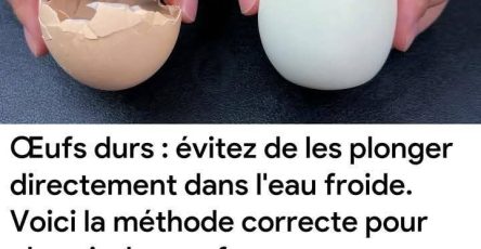 524912643 122180935874329373 841282965329158523 n