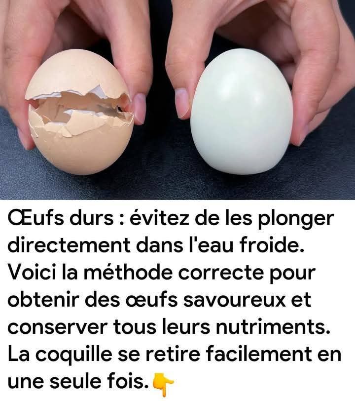 524912643 122180935874329373 841282965329158523 n