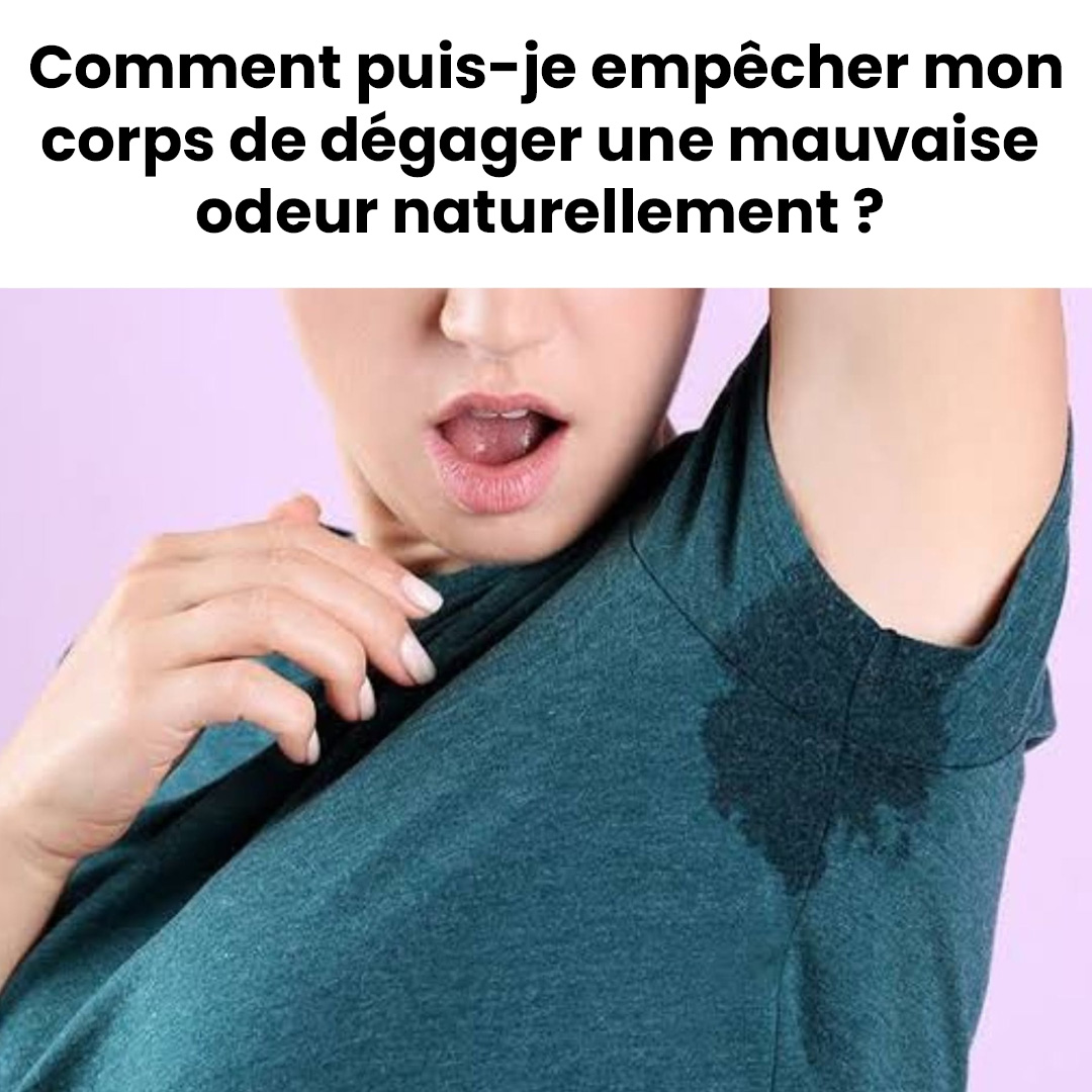 526353407 763158156232630 6024718025519122582 n