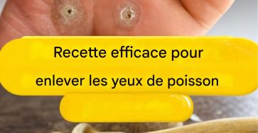 5403bfc1 5f78 47fc a064 de34ba4065ec