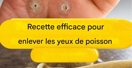 5403bfc1 5f78 47fc a064 de34ba4065ec