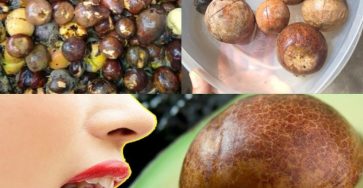 545435492 122192299448544104 170372615566404417 n 1