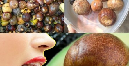 545435492 122192299448544104 170372615566404417 n 1