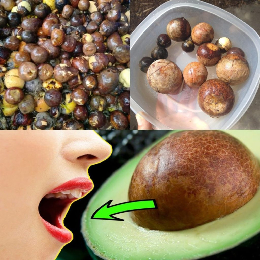 545435492 122192299448544104 170372615566404417 n 1