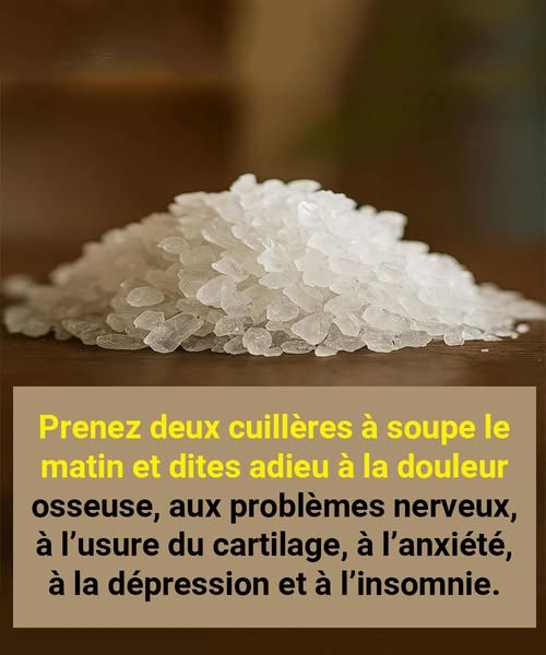 545520070 1188734773286969 6664238919207881901 n