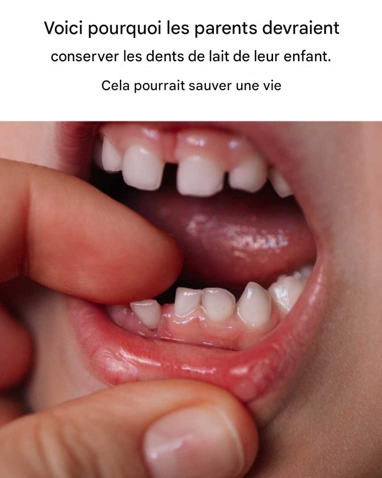 558887524 122147702672412810 1521909511615966012 n