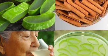 576819872 811092505031560 2624787450593966647 n (1)