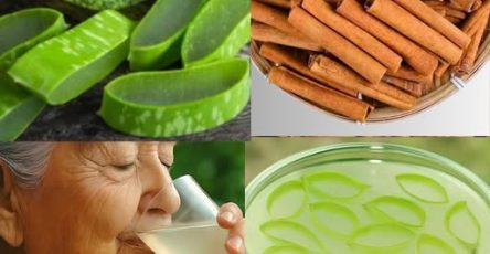 576819872 811092505031560 2624787450593966647 n (1)