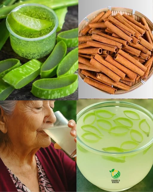 576819872 811092505031560 2624787450593966647 n (1)