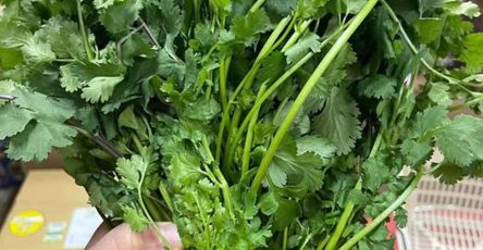 582292965 1400228491495846 3159701161476869412 n