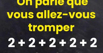 587432671 1269595201871719 172409238004818937 n