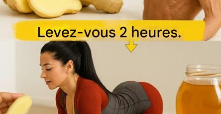 588043746 844643121763896 4849731791030736615 n