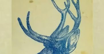 588500717 1154201043506571 3931702581705753393 n