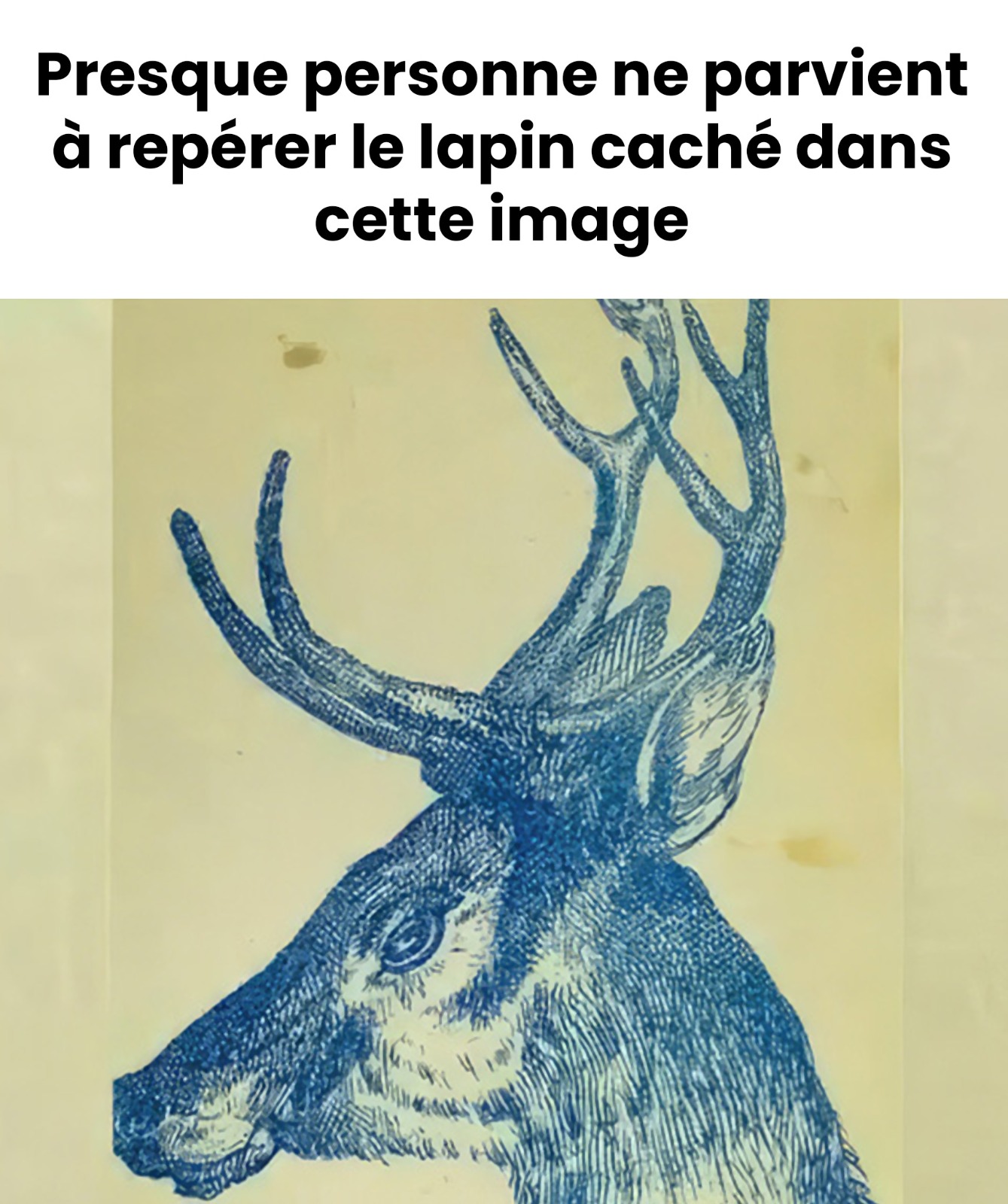 588500717 1154201043506571 3931702581705753393 n