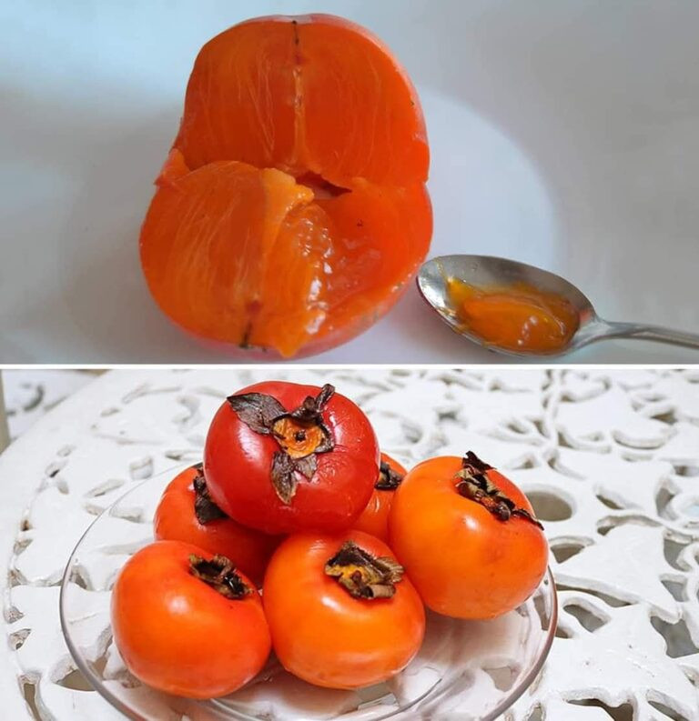 598549613 122195602268344090 3919387689929984407 n