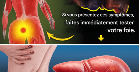 5a430a91 45e0 4d87 9e09 97266529a1ab 2 (2)