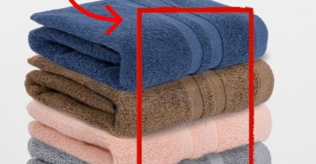 616096237 1192150586378283 3485551638575787431 n