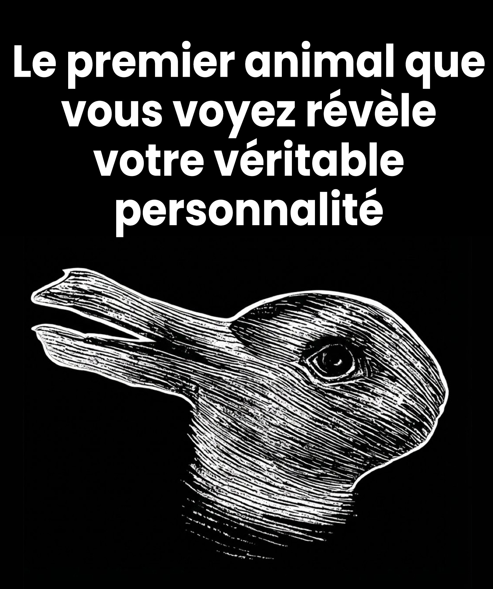 619395812 1316127387218500 5895327286616915563 n