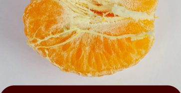 622386500 1325821406249098 2247124219705498109 n