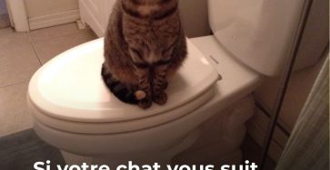 627812418 1198333685790001 8159566056713549234 n