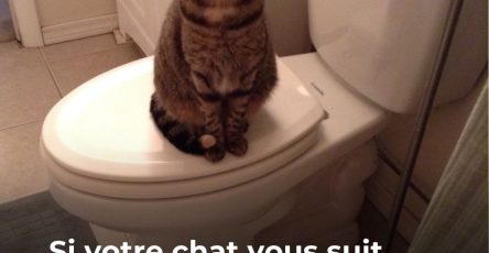 627812418 1198333685790001 8159566056713549234 n