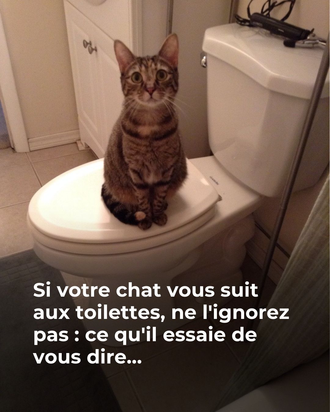 627812418 1198333685790001 8159566056713549234 n