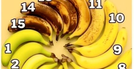 633863735 3811379942497167 4751910284152514014 n