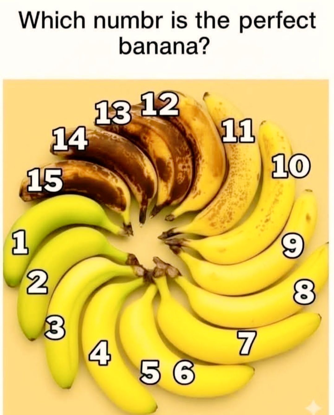 633863735 3811379942497167 4751910284152514014 n