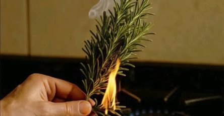 639525138 122143113164965026 413350123907704061 n