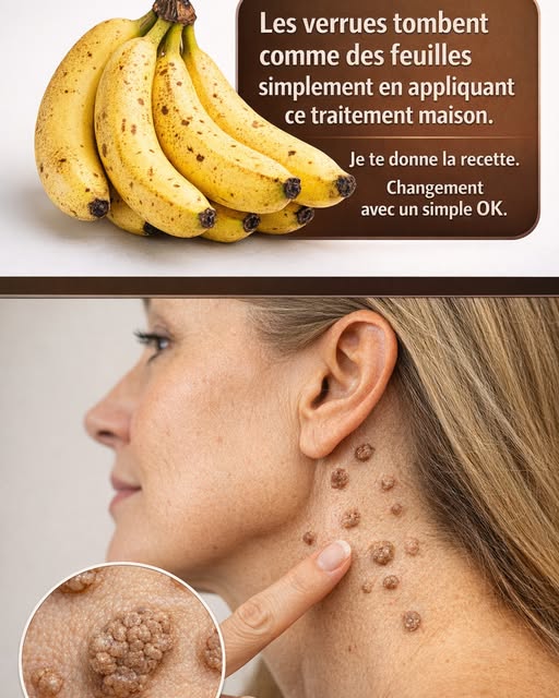 641187000 122119480641173222 4665530023148919587 n