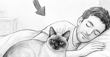 642756352 1347773597387212 8915012336103473341 n