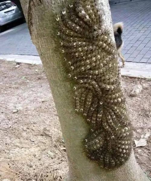 643484158 874475735412005 5025402826925099466 n