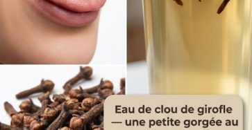 643776561 122128600137078200 1296831868414688221 n