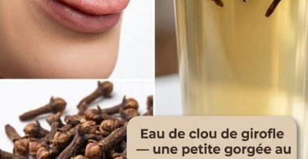 643776561 122128600137078200 1296831868414688221 n