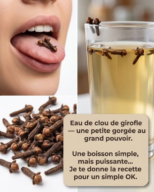 643776561 122128600137078200 1296831868414688221 n