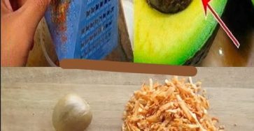 643875905 1319414213555931 2849350573951869565 n