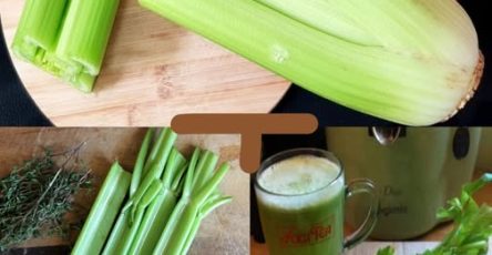 644278591 1319399013557451 3584342688882436017 n