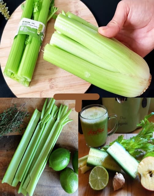 644278591 1319399013557451 3584342688882436017 n