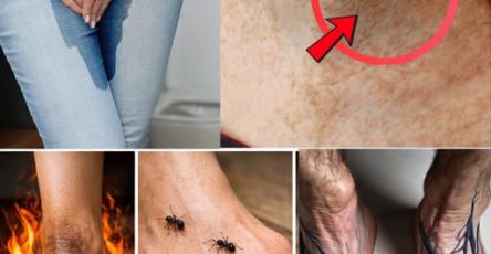 644416183 1517132900417598 6314401604768622279 n