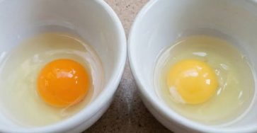 644710835 122235126608281689 334011220240962870 n