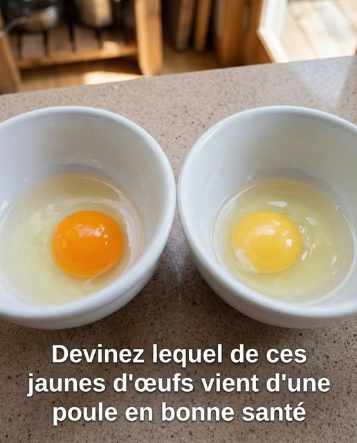 644710835 122235126608281689 334011220240962870 n