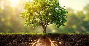 644863542 1336143078546137 9036710373415643572 n