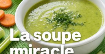 646102621 1336348528525592 277215086350894607 n