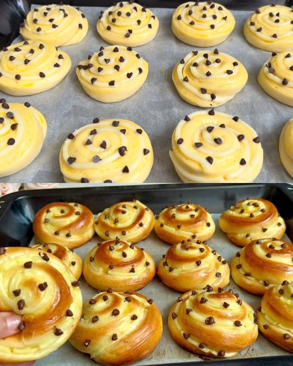 646376940 899312576413832 6443362177461391396 n