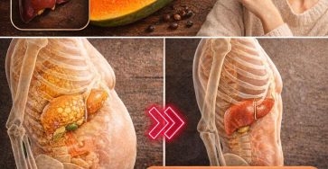 650223263 4029639390660653 5175249384502029199 n