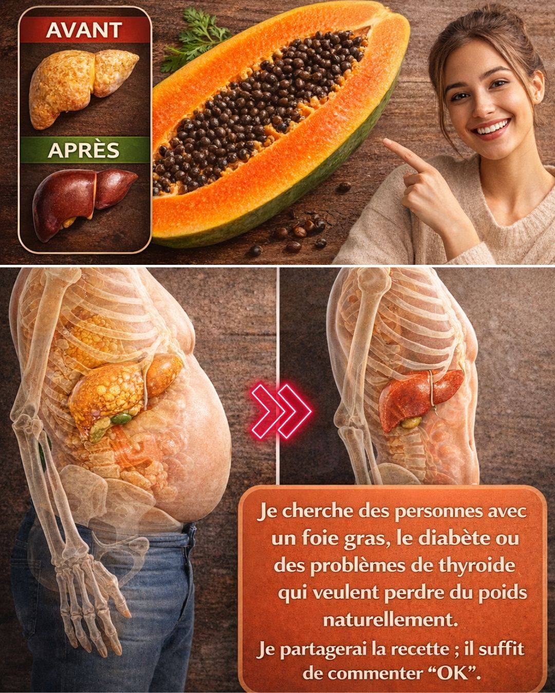 650223263 4029639390660653 5175249384502029199 n