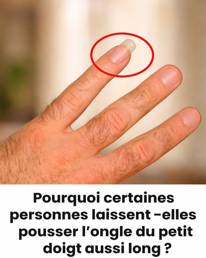 653082474 122148226700970697 6649279394663839447 n