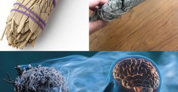 655758375 1506034821083424 6867657911210478163 n