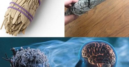 655758375 1506034821083424 6867657911210478163 n