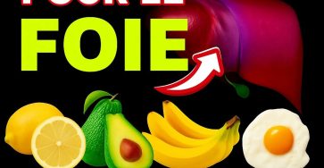 709bd56d 0928 4550 925b a4b567d238af